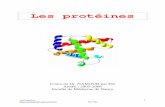 Les protéinesaup1perdu.nancy.free.fr/bioch/lesproteines.pdf · ... Formule générale des acides aminés ... Les groupes de la liaison peptidique peuvent établir des liaisons hydrogènes