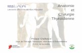 Anatomie Laboratoire d’Anatomie des Alpes Françaises … · Bases anatomiques de la thyroïdectomie L’essentiel • morphologie • vascularisation • architecture fibreuse