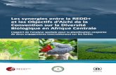 Les synergies entre la REDD+ et les Objectifs d’Aichi … REDD+CDB COMIFAC_light.pdf · (Eco-Management & Audit Scheme) ... 2.1 Variables pertinentes pour la cartographie des émissions