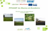 PPEANP de Marne-et-Gondoire · Procédure de création du PPEANP Pilotée par le Conseil général ... présentation des enjeux et une réflexion par petits sous groupes sur les actions