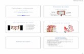 Anatomie du colon Pathologie colorectaleifsipaulbrousse.free.fr/cours/colorectales.pdf · Pathologie colorectale Anatomie du colon Vascularisation du colon – 1 Aorte abdominale