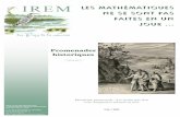 IREM Les mathématiques ne se sont pas faites en un journumerisation.univ-irem.fr/NA/INA98001/INA98001.pdf · institut de recherche sur l’enseignement des mathÉmatiques des pays