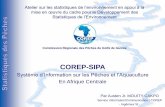 COREP-SIPA - unstats.un.org · Le traitement, l’analyseet la mise à disposition des Etats parties des données scientifiques et techniques ainsi que ... Des systèmes appropriés