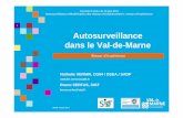 1 Autosurveillance dans le Val-de-Marne - SAGEE dans le Val... · Autosurveillance et Modélisation des réseaux d’assainissement : retours d’expériences. 2 Mardi 14 juin 2011