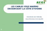 LES CABLES SOUS MARINS DESSERVANT LA CÔTE D’IVOIRE´te-d’Ivoire.pdf · Propriétaire : US, NIGERIA (Maine one cable company); ... offres de connectivité aux câbles sous-marin