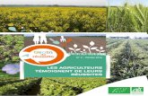 Grain - Agriculture Pays de la Loire · Il n’y a qu’un seul semoir pour l’ensemble des cultures de l’exploitation. Des semences ... Avantages et inconvénients du lin oléagineux