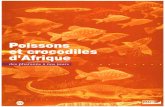Poissons et crocodiles d'Afrique : des pharaons à nos …horizon.documentation.ird.fr/exl-doc/pleins_textes/divers16-05/... · des pharaons à nos jours POISSONS ET CROCODILES D'AFRIQUE