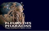 FLEURS DES PHARAONS - Editions Alphil et les … · FLEURS DES PHARAONS Parures funéraires en Egypte antique. Created Date: 9/23/2013 2:16:47 PM