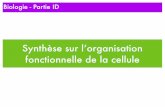 Synthèse sur l’organisation fonctionnelle de la celluleekladata.com/xIp240hFDKqpdH3SQFde-4Cw2nk/iapo-bilan-cellule.pdf · Organisation d’une Eubactérie 9 Cyanobactérie ...