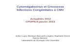 Cytomégalovirus et Grossesse ... - cpdpn.chu-grenoble.frcpdpn.chu-grenoble.fr/sites/cpdpn.chu-grenoble.fr/files/public/cmv... · Laboratoire de Virologie CHU Grenoble. Actualités