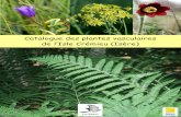 Catalogue des plantes vasculaires de l’Isle Crémieu … · Catalogue des plantes vasculaires de l'Isle Crémieu - II - Liste des fournisseurs de données Laetitia Adami, Agence