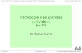 Pathologie des glandes salivaires - Faculté de …cochlea.iurc.montp.inserm.fr/enseignement/cycle_2/MID/Ressources... · pathologie sous-jacente de l'oreille, du rocher ou de la