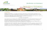 Bulletin technique Agriculture biologique - CA64 · se référer au classeur Maraîchage Guide de production ... plantation permet un meilleur réchauffement du sol, à condition