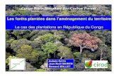 Congo Basin Biosphere Bio-Carbon Forum - UNESCO | … Saya.pdf · - amélioration génétique. massif - Aménagement et certification - Adhésion des populations locales ... • Domestication