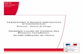 Stratégie Locale de Gestion des Risques Inondation · PDF fileRomans - Bourg-de-Péage Stratégie Locale de Gestion des Risques Inondation ... Antoine Ducloux Direction départementale