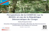 Perspectives de la COMIFAC sur le REDD+ et cas de … · 2011-06-08 · -Pas de nouveau traité sur le climat dans un future proche ... Processus de construction de la Stratégie