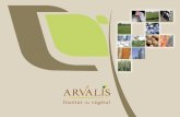 Présentation d'ARVALIS - Institut du végétalafmex.net/data/documents/2-Presentation-PhenoField-Arvalis-Janvier... · croissance des plantes (du gène, de la cellule, de la plante