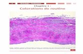1 Histologie - Techniques Chapitre 1 : Colorations de …membre.oricom.ca/dominiquet/temp/A-Routine.pdf · les noyaux, le cytoplasme des cellules et les fibres, des points de repère