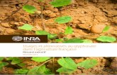 avec l’aide de - INRA Résumé exécutif Ce rapport fait suite à une saisine de l’Inra par les Ministres de l’Agriculture et de l’Alimentation, de la Transition Ecologique