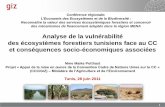 Analyse de la vulnérabilité des écosystèmes forestiers ...teeb-tunis.yolasite.com/resources/PPT/Potthast-CCC-GIZ.pdf · Besoin de concevoir une méthodologie pour évaluer les