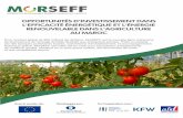 morseff.commorseff.com/fr/images/telechargements/Agriculture-Leaflet.pdf · Au cours de ces dernières années, la modernisation du secteur agricole au Maroc a eu pour conséquence