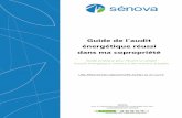 Guide de l’audit - Sénova Copropriété : Audit énergétique, MOE, Suivi d ...coproprietes.senova.fr/image/Telechargements/Guide... · 2016-03-21 · d'audit énergétique menant