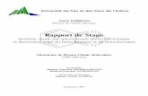 N Rapport de Stage Synthèse, étude par spectroscopie …darrigan.net/uppa/publications/rapport_maitrise_darrigan.pdf · La préparation du 5-méthoxybenzofurazane a été décrite