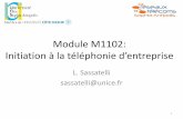 Module M1102: Initiation à la téléphonie d’entepisesassatelli/coursM1102_2017.pdf · - Cours : 9h - TD : 4.5h ... Commutation et multiplexage 5. Organisation du réseau téléphonique