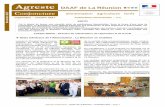Agreste DAAF de La Réunion - …daaf.reunion.agriculture.gouv.fr/IMG/pdf/Publi_novembre_conj... · dans un contexte socio-professionnel où le chô-mage frappe particulièrement