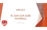 PROJET PL BAR SUR AUBE HANDBALL - s2.static …s2.static-clubeo.com/uploads/pl-bar-handball/Medias/PROJET CLUB... · 1 nouvelle équipe séniore filles : En interdépartementale Aube