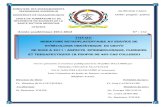 MINISTERE DES ENSEIGNEMENTS SECONDAIRE … · année académique 2011-2012 n⁰ : 132 ministere des enseignements secondaire superieur . universite de ouagadougou . unite de formation