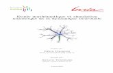 Etude math´ematique et simulation num´erique de la ... · 24 R´eponse d’un neurone biologique soumis a un courant donn´e pendant 40s . . . . . 26