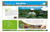 Nitrat’Info - Pour une agriculture qui respecte l'eau · d’azote dont la plante à besoin. ... • un poids sous eau trop faible (teneur en matière sèche faible) qui peut mener