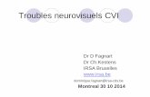 Troubles neurovisuels CVI - rfdsl.comrfdsl.com/wp-content/uploads/2015/02/Dominique-Fagnart-IRSA... · IRSA Bruxelles dominique.fagnart@irsa-cds.be Montreal 30 10 2014. Anatomie ...