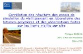 Corr©lation des r©sultats des essais de simulation du ...media.lcpc.fr/ext/pdf/sem/2007_11B032/2007_11B032_dumas... 