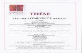 Université THESE de Toulouse - bameinfopol.info · CISSE, Mme Mariama FAYE, M. Sandéné DIAGNE et l’ensemble du personnel pour avoir facilité les démarches administratives pour