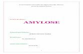Le titre du thème : AMYLOSE - Depot institutionnel de l ...dspace.univ-tlemcen.dz/bitstream/112/6718/1/amylose.pdf · L’amylose peut infiltrer la moelle osseuse, la ... dont la