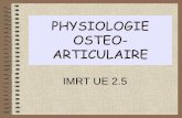 PHYSIOLOGIE OSTEO- ARTICULAIREbhpicard.free.fr/Files/squelette_imrt.pdf · Moelle osseuse rouge et jaune 1) Structure des os longs . ... ‐ Le schéma donne les principales localisations
