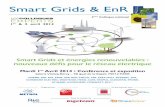 Smart Grids & EnRmetrolfrym.cluster020.hosting.ovh.net/wp-content/uploads/2017/03/... · • Quelles sont les modalités de construction d’un marché de « Services systèmes »