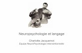 Neuropsychologie et langage - lscp.net€¦ · Aphasie de Broca 1 Aphasie de conduction Aphasie de Wernicke Aphasie transcorticale motrice Aphasie transcorticale sensorielle 2 …