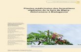 Plantes médicinales des formations végétales de la …bft.cirad.fr/cd/BFT_331_55-65.pdf · À Madagascar, la connaissance sur l’utilisation de la ... (Direction générale de