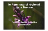 le Parc naturel régional de la Brenne - Bienvenue · Une des plus importantes zones humides continentales ... et le PNR de la Brenne • Développer le nombre de guides de tourisme