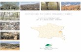 Haute-Savoie - Troisième inventaire forestierinventaire-forestier.ign.fr/spip/IMG/pdf/PubDep/74-haute-savoie/... · Les forêts relevant du régime forestier 85 3.1.3. Les forêts