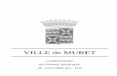 VILLE de MURET - mairie-muret.fr 4octobre 2011.pdf · CONVENTION EXTRANET CARRIERES DU CDG 31 _____ 14 COMPTE EPARGNE TEMPS _____ 15 ... RENOUVELLEMENT DU BAIL DE LOCATION PASSE AVEC