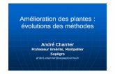 Charrier, Amélioration des plantessemencesdusud.com/doc_semences/Evolution_concept... · Stratégie de base de l’amélioration des plantes (AP)--explorer les sources de variabilité
