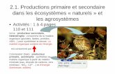 2.1. Productions primaire et secondaire - Site SVT du ...svt.leverrier.free.fr/IMG/pdf/2-1-_Productions_primaire_et_seconda... · 2.1. Productions primaire et secondaire dans les