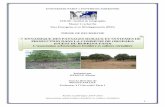 Dynamique des paysages ruraux et systèmes de …horizon.documentation.ird.fr/exl-doc/pleins_textes/divers16-11/... · Mémoire de Master 2 recherche Association arboriculture fruitière