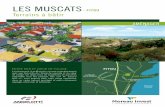 Terrains à bâtir - moreauinvest.com · Le lotissement «Les Muscats» occupe un emplacement avec vue tout près de l’étang de Leucate et du cœur de village. Un large choix de