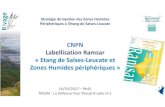 CNPN Labellisation Ramsar «Etang de Salses Leucate …pnmh.espaces-naturels.fr/sites/default/files/fichiers/Projet Ramsar... · Stratégie de Gestion des Zones Humides Périphériques