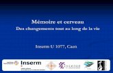 Mémoire et cerveau - Portail Accueil · BEC96 (Signoret, 1988) S2 – T 7 jours Sentiment d’identité dans la maladie d’Alzheimer 16 patients (MMS = 14) et 16 contrôles . 44